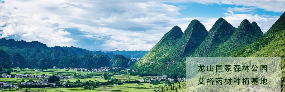 優選品牌 值得信賴